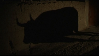 LE VEAU D'OR / THE GOLDEN CALF (THE GOLDEN CALF)