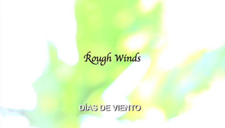 Clip TV Rough Winds