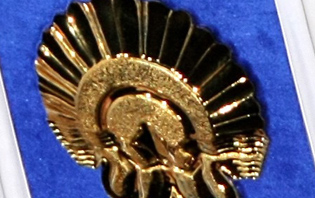 CONCHAS DE ORO