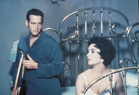 Cat on a Hot Tin Roof
