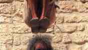 Monty Python�s Life of Brian