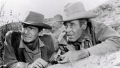 The Tin Star