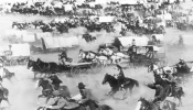 Cimarron