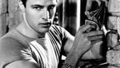 Brando