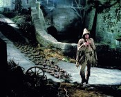 The Pied Piper
